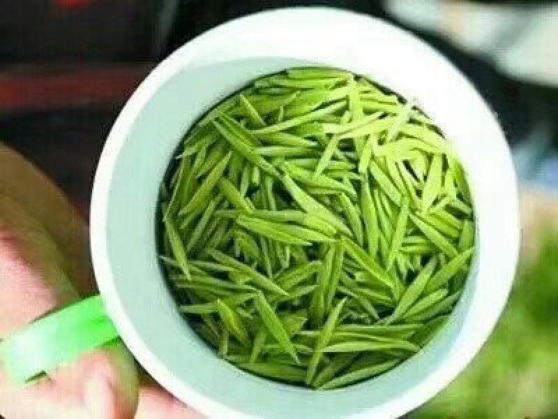 纯天然无公害大山茶
