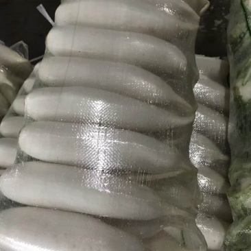白萝卜优质白萝卜支持产地看货