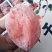 牛心柿饼