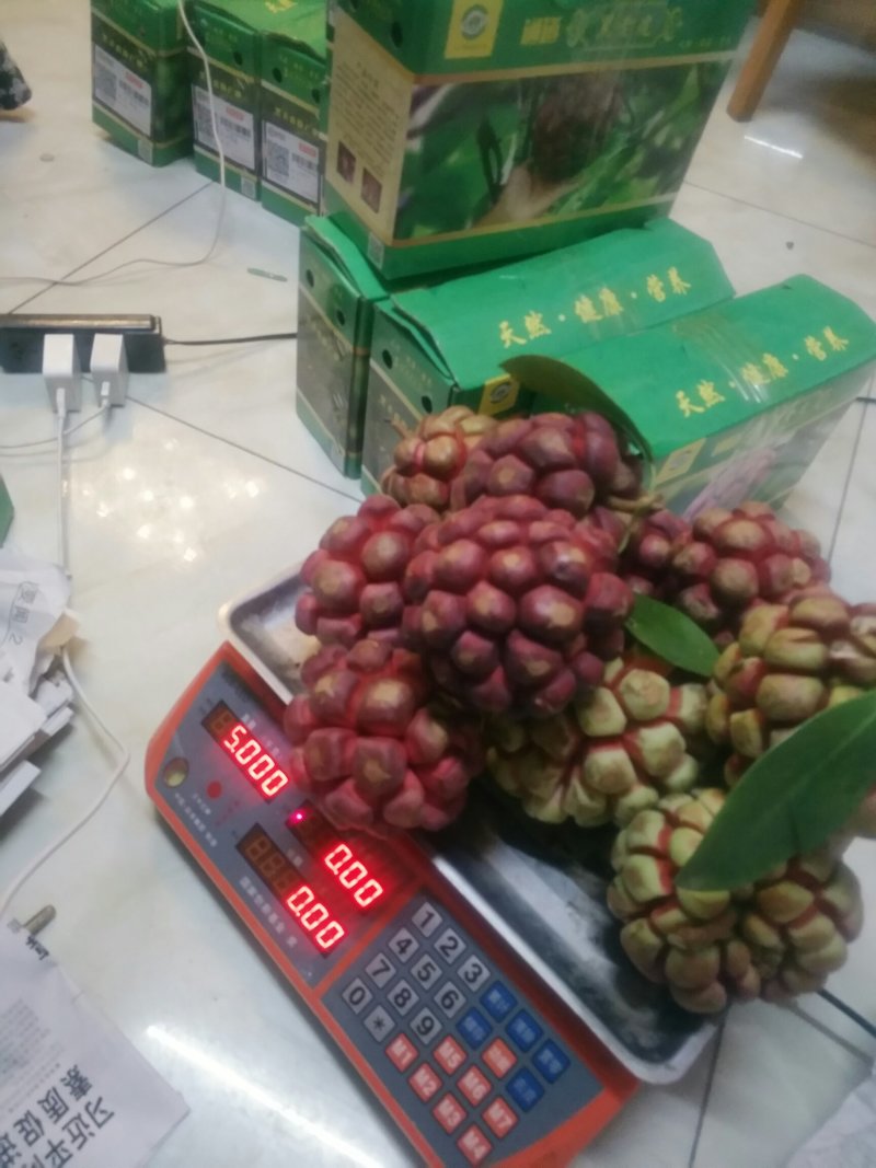 布福娜