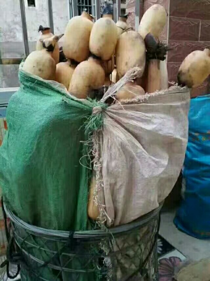 莲藕粉
