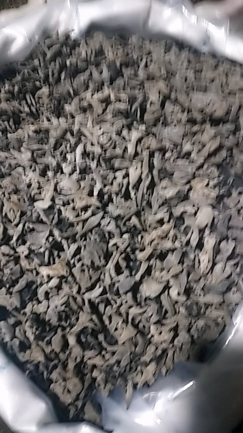 黑山秋儿