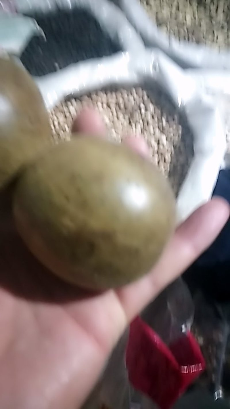 罗汉果