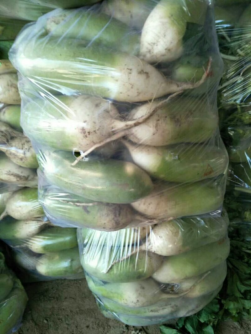 蔬菜