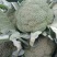 散花