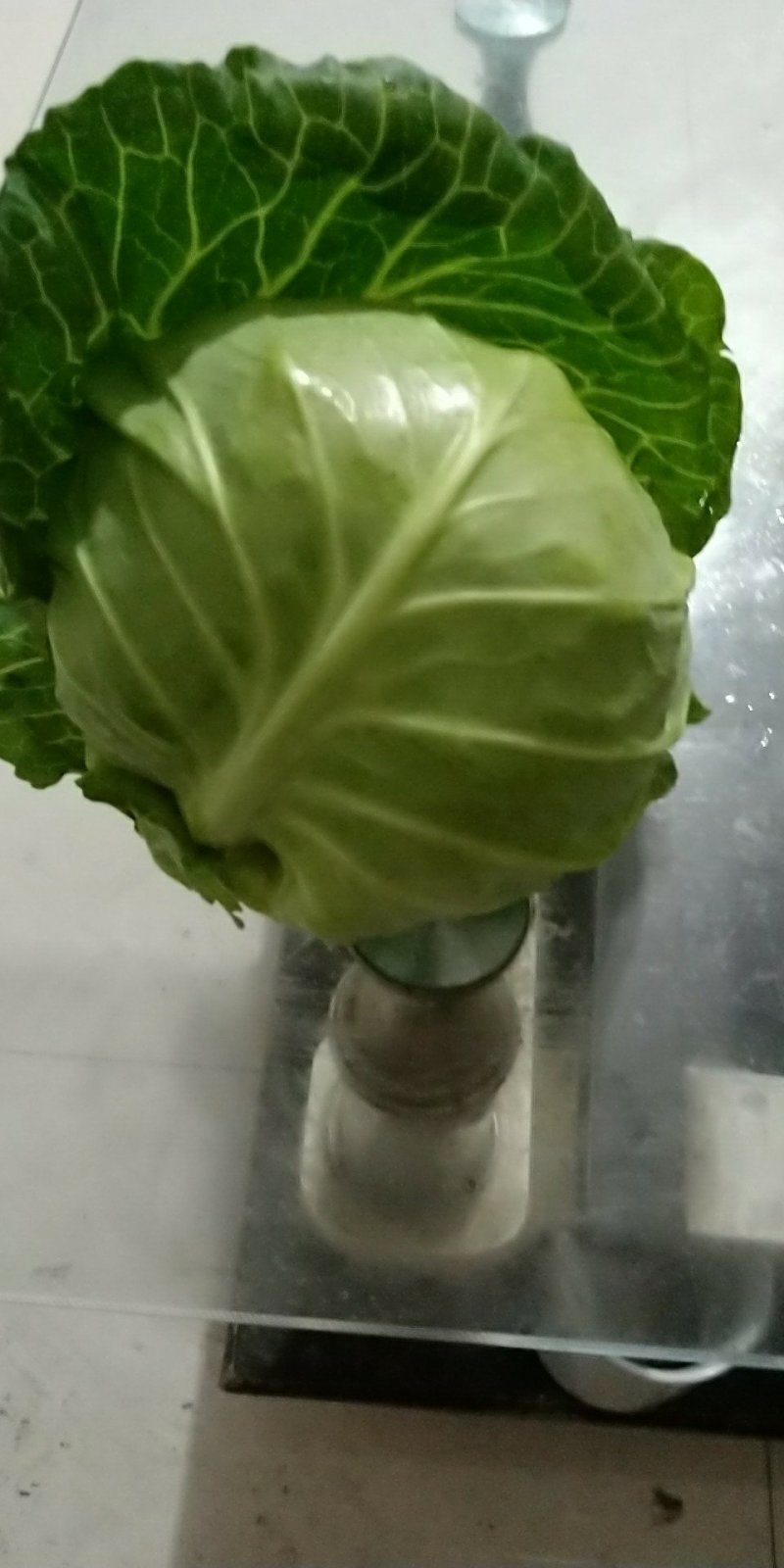秦皇岛市昌黎县新集镇蔬菜市场代办