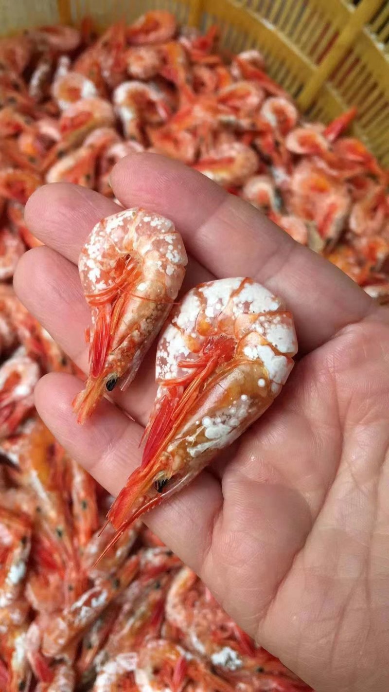 野生滑皮虾干