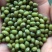 精品绿豆，有芽豆，商品豆。