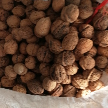 文玩核桃