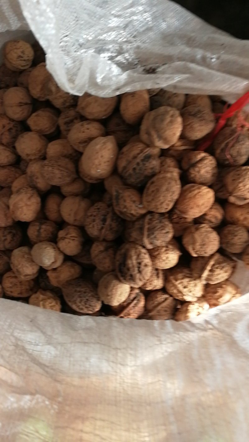文玩核桃