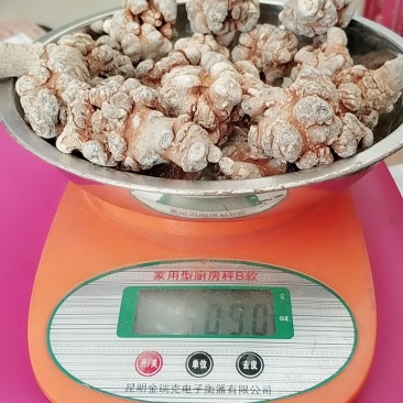 文山三七20头带帽七足头足干