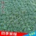 庭院植物日本矮麦冬草玉龙草四季常青长不高耐践踏短
