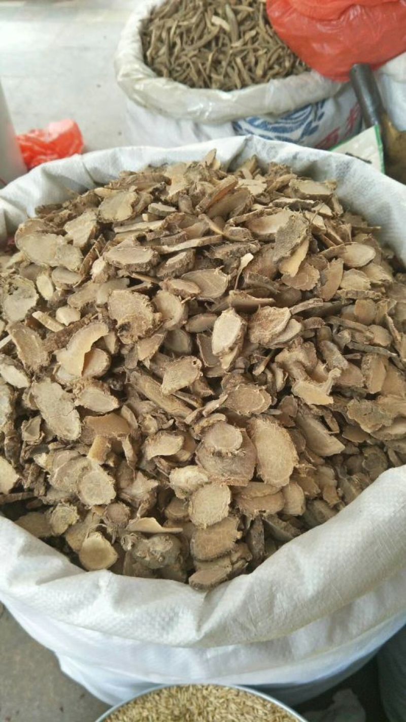 莪术种子购销，欢迎各位老板来电详谈，谢谢，