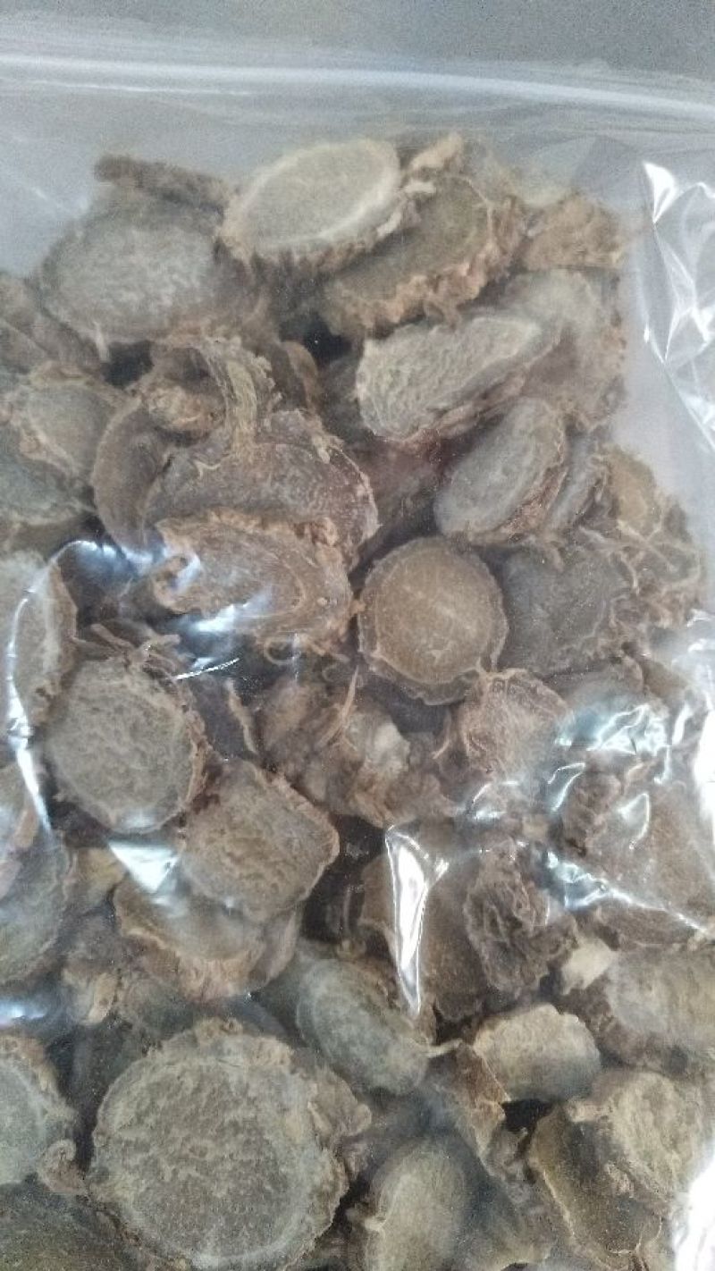 莪术种子购销，欢迎各位老板来电详谈，谢谢，