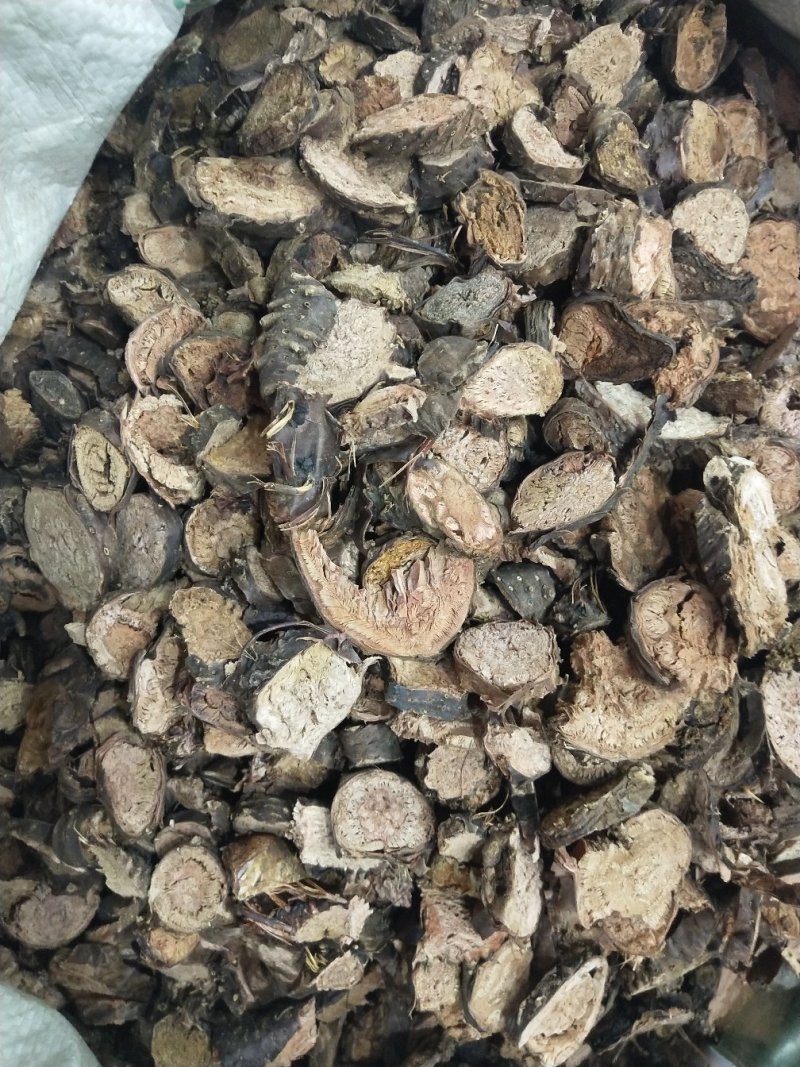 红景天野生红景天无硫无杂质净货中草药批发零售