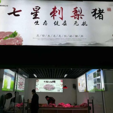 三元猪，刺梨猪