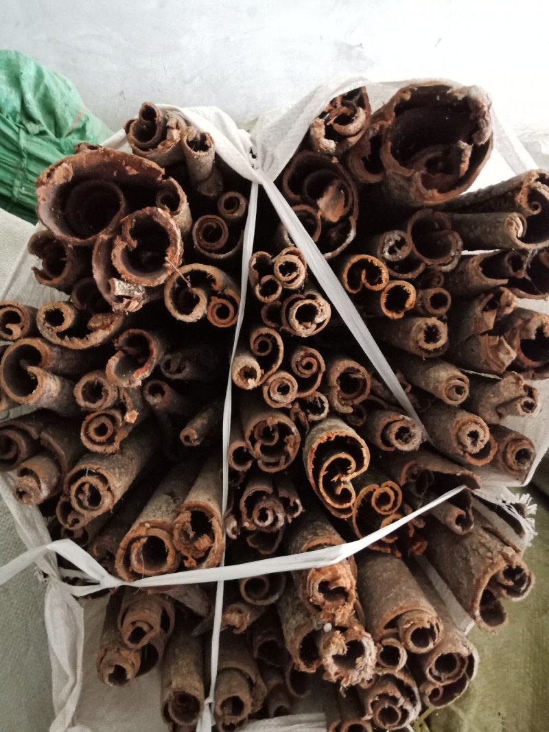 厚朴
