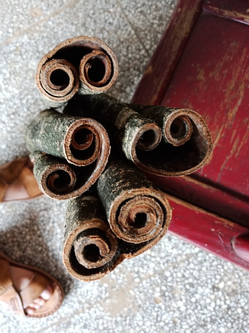 厚朴