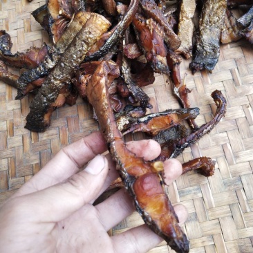 鱼干
