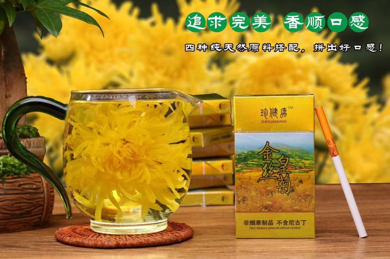 金丝皇菊烟