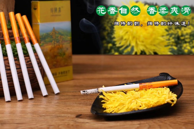 金丝皇菊烟