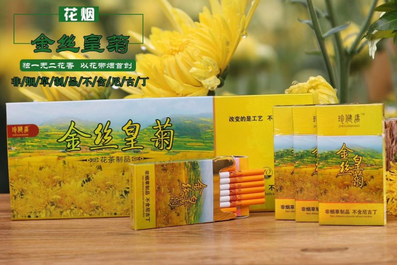 金丝皇菊烟