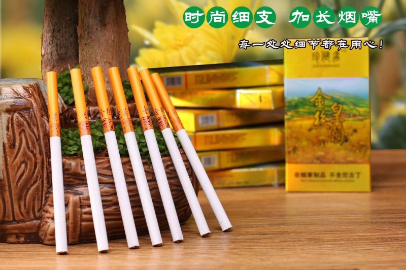 金丝皇菊烟