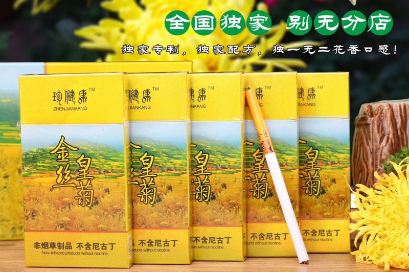 金丝皇菊烟