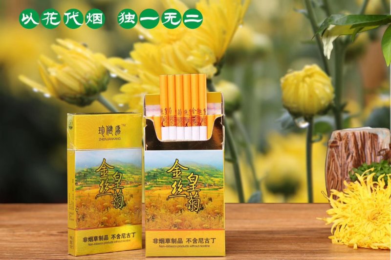 金丝皇菊烟