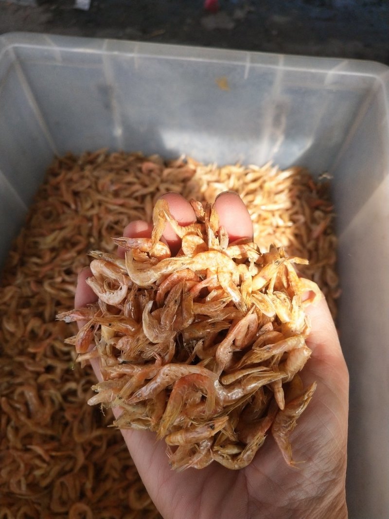 微山湖畔大白（干虾）
