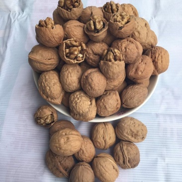 新疆薄皮核桃