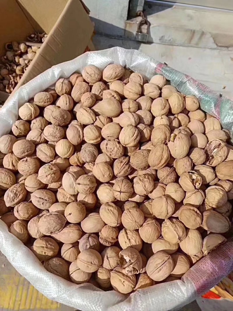 新疆薄皮核桃