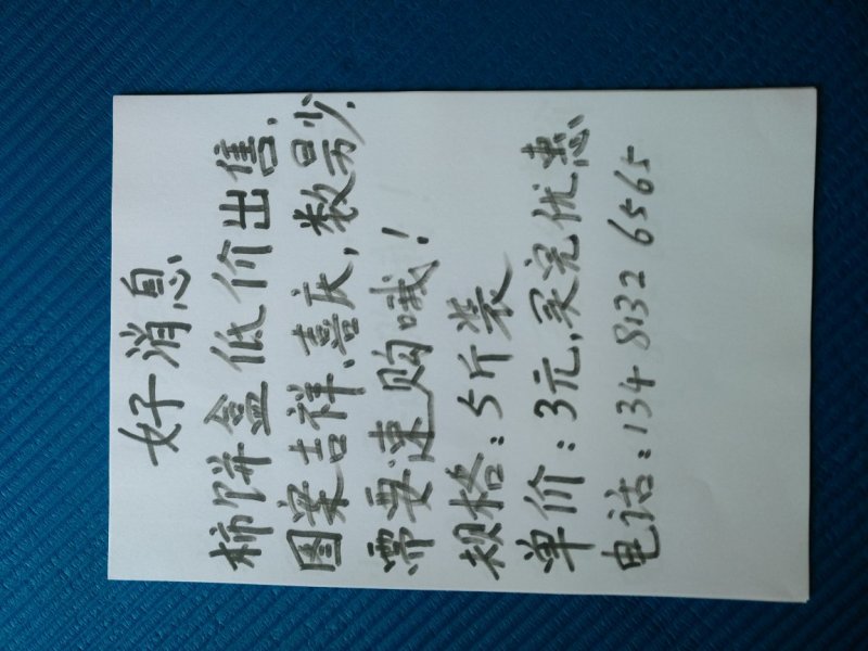 柿饼盒