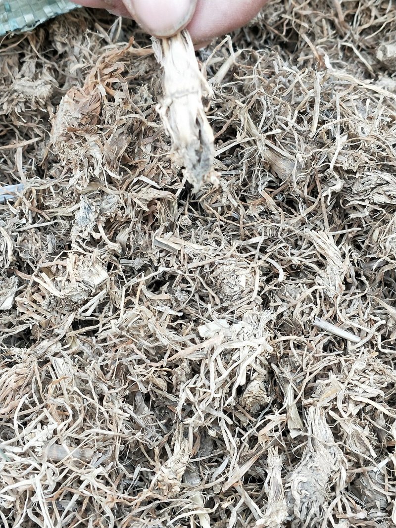 糯稻根。个子。饮片加工。水洗货。产地一手货源批发。