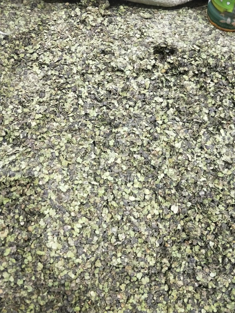浮萍草。机压包。袋装。产地一手货源价格优惠