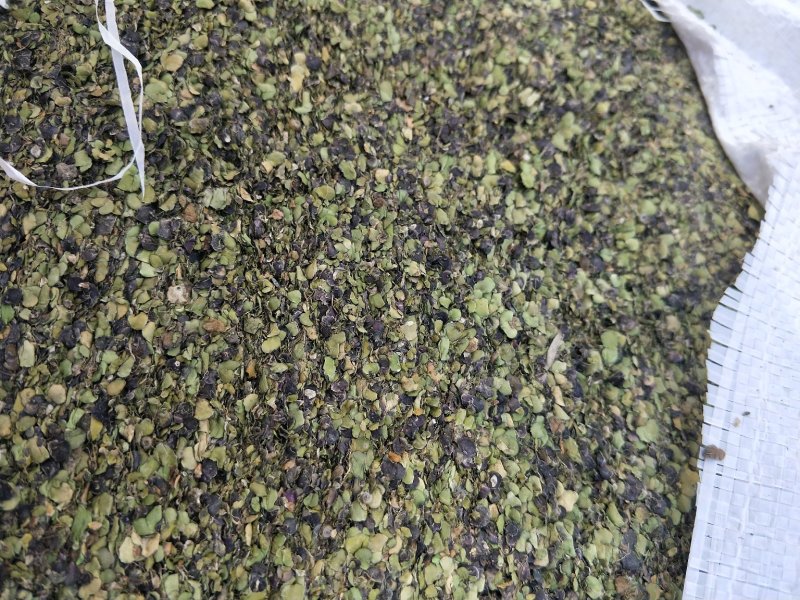 浮萍草。机压包。袋装。产地一手货源价格优惠