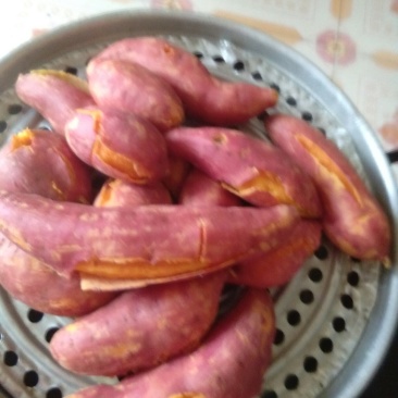 西瓜红薯