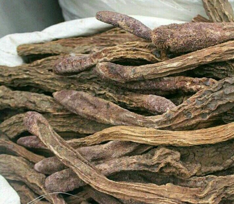 肉苁蓉锁阳淫羊藿