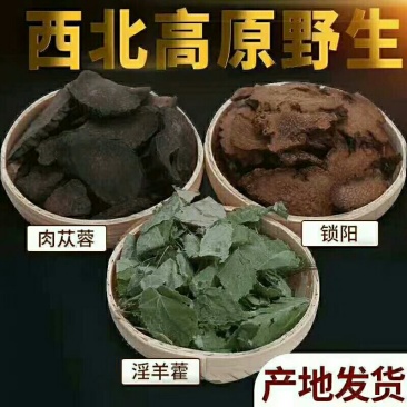 肉苁蓉锁阳淫羊藿