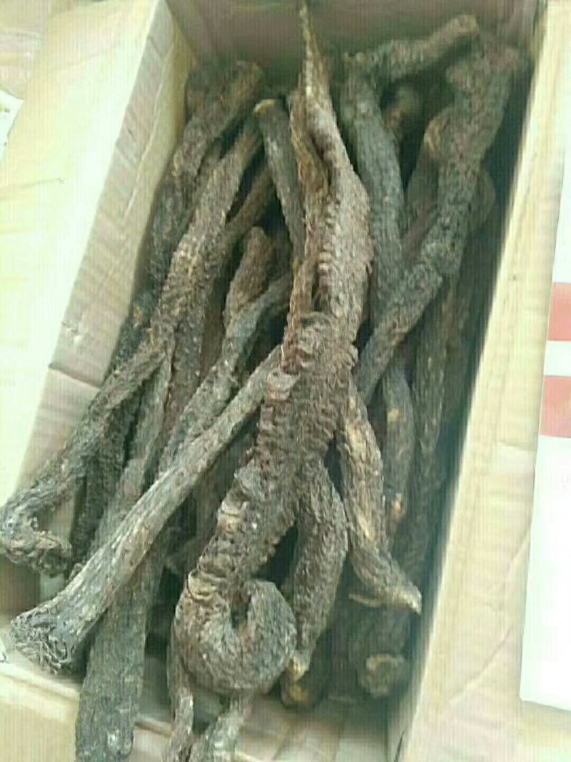 肉苁蓉锁阳淫羊藿