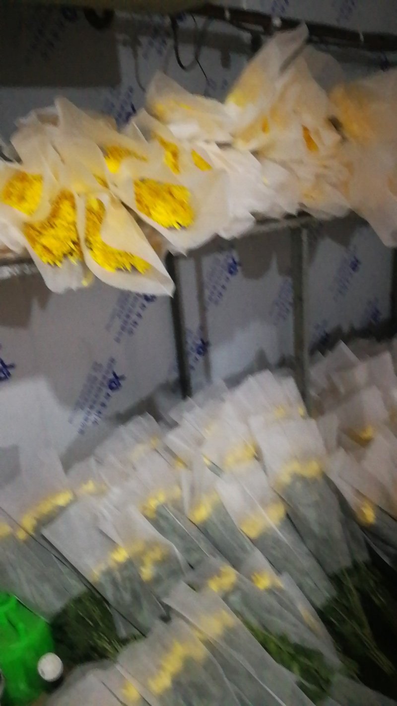扶郎七块五，黄菊花十支八块