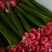 扶郎七块五，黄菊花十支八块