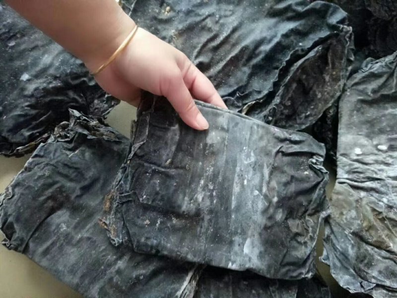 深海区海带无污染无公害绿色食品
