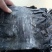 深海区海带无污染无公害绿色食品