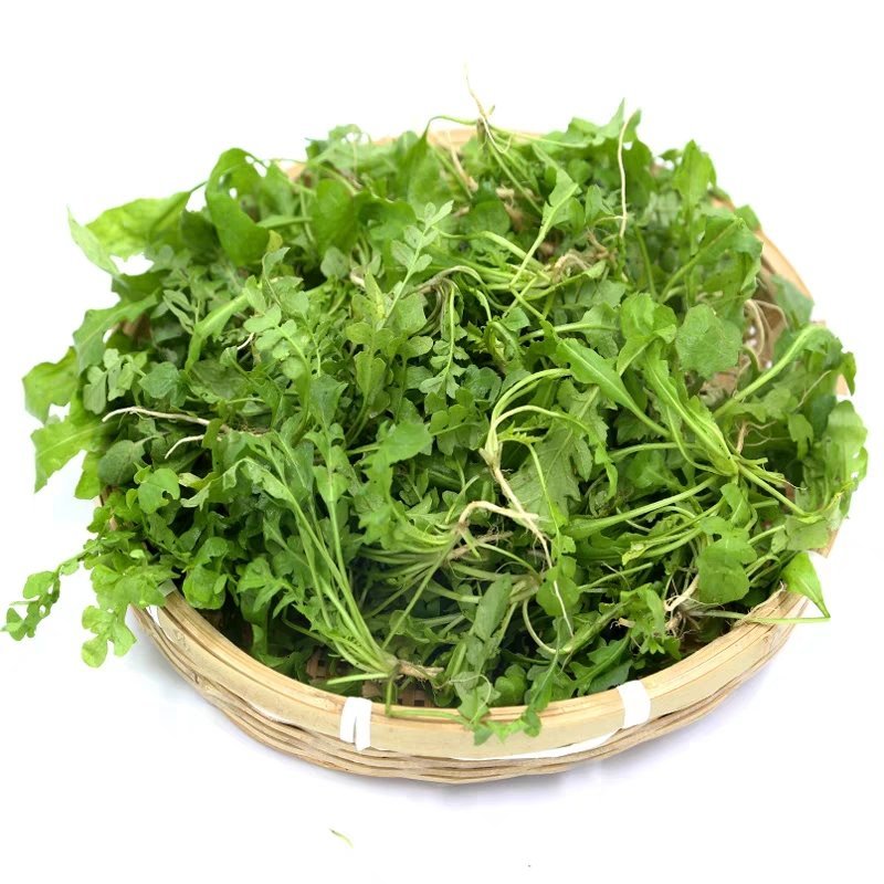 荠菜