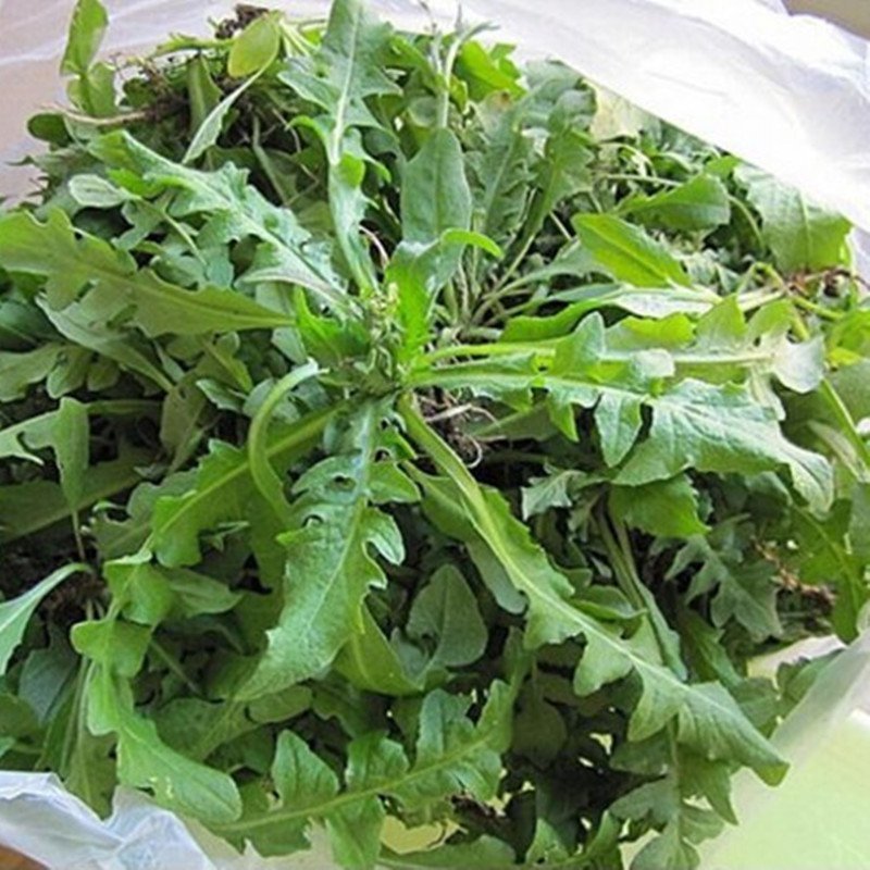 荠菜