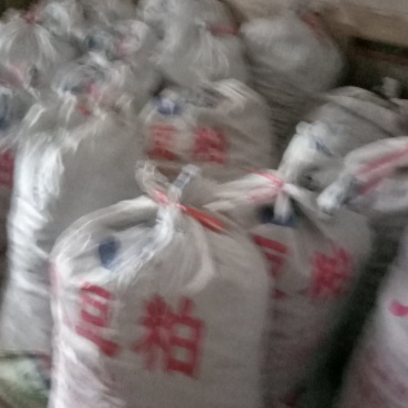统玉竹干条