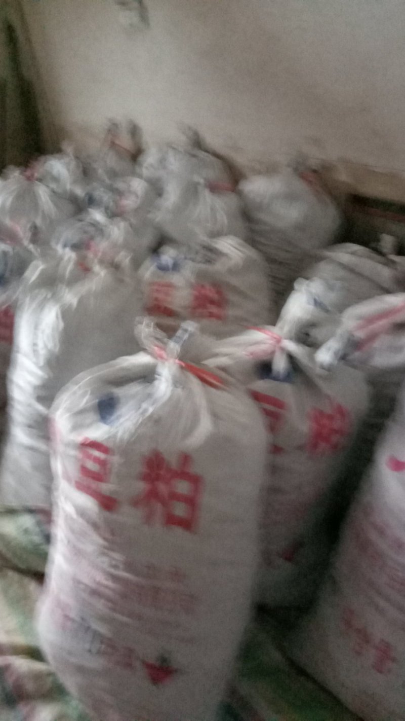 统玉竹干条