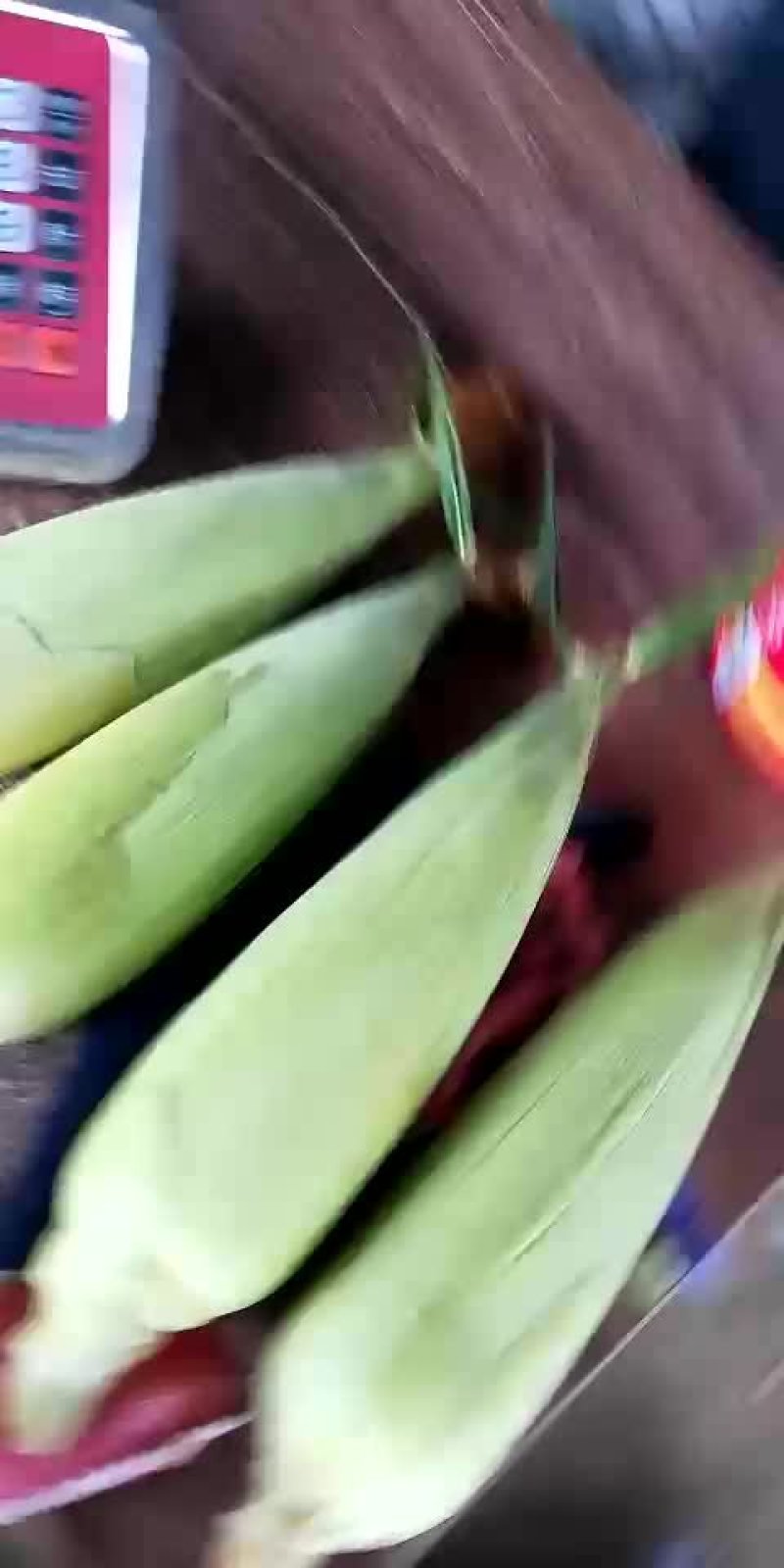 青玉米