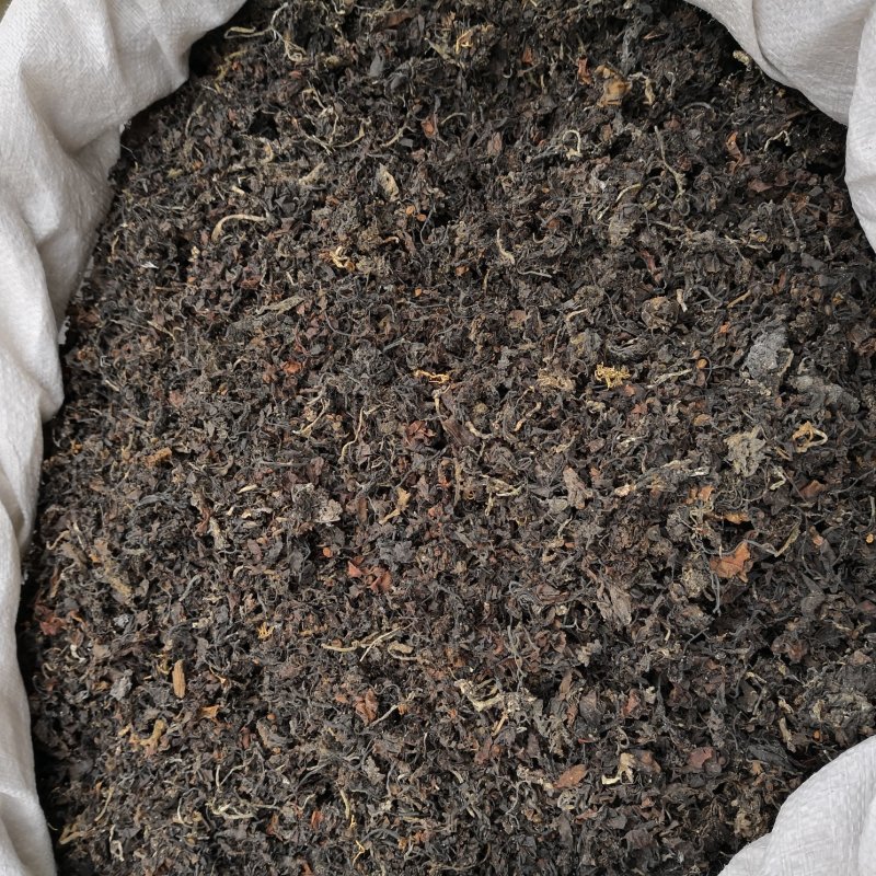 海藻山东水洗干货小粒含量高量大从优